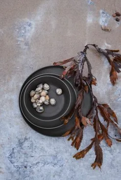 Rosendahl Grand Cru Take Melamintallerken Ø26 Cm 2-stk. 13 Rosendahl Grand Cru Take Melamintallerken Ø26 Cm 2-stk. -Servise Butikk 510578 01 5 EnvironmentImage b265c7841c