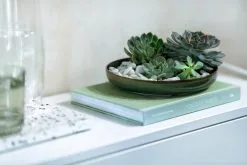 Villeroy & Boch Crafted Breeze Dyp Tallerken Ø21,5 Cm -Servise Butikk 570809 01 4 EnvironmentImage dec4ec0573